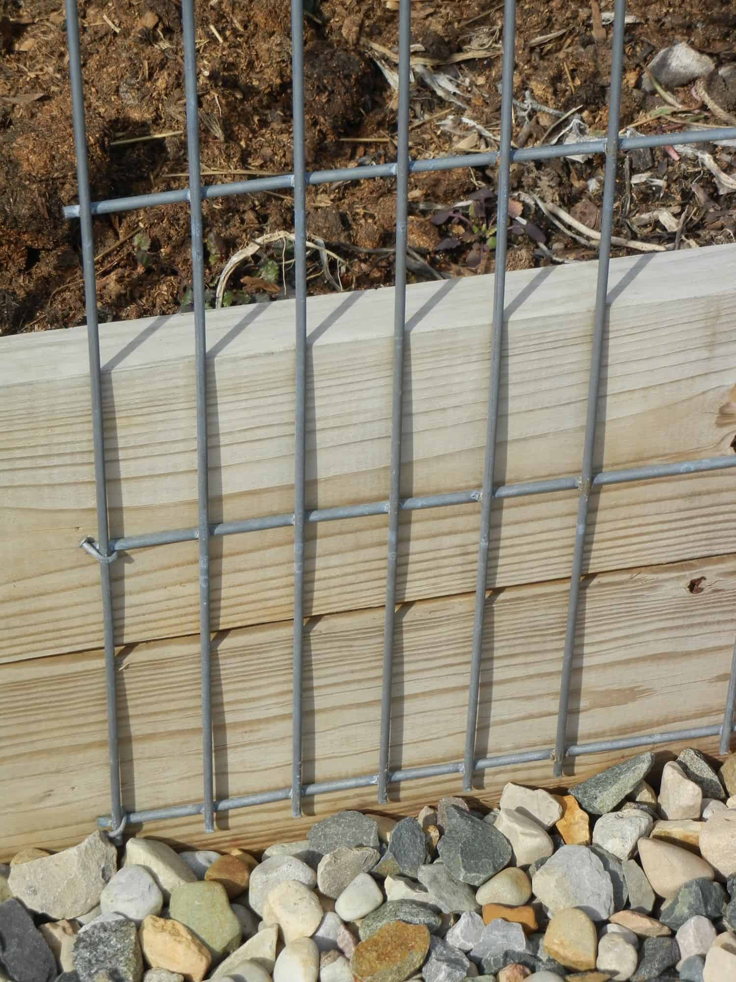Building A Strong Wind & Weather-Resistant Trellis. 3" galvanized or exterior nails to fasten down the cattle panels