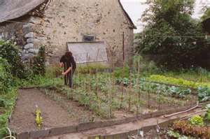 Raised Bed Gardens: How To Build the Perfect 4' x 8' Box, French intensive gardening in a beautiful small garden