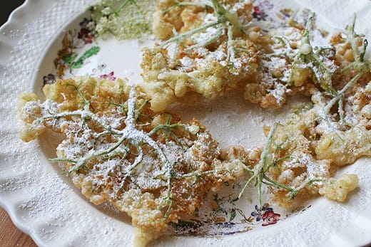 Recipe For Old-Fashioned Elderflower Fritters. Fried elderberry fritters sprinkled with confectioner's sugar.