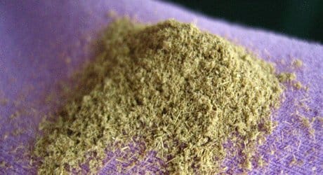 Insect Repellant: Vinegar of the 4 Thieves for Chiggers, Mosquitoes Insect Repellant: Vinegar of the 4 Thieves for Chiggers, Mosquitoes. lavender dried herb