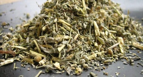 Insect Repellant: Vinegar of the 4 Thieves for Chiggers, Mosquitoes Insect Repellant: Vinegar of the 4 Thieves for Chiggers, Mosquitoes. wormwood dried herb