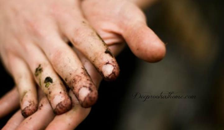 Remove Stains From Working Hands & Nails In One Easy Step, a gardener's dirty hands, 