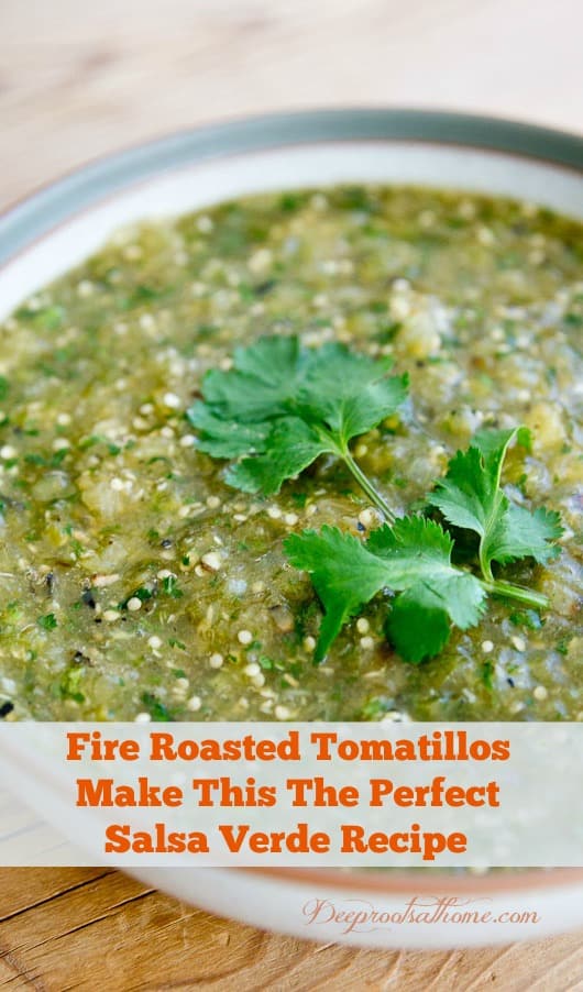 Fire Roasted Tomatillos Perfect this Salsa Verde Recipe. Latin American green sauce