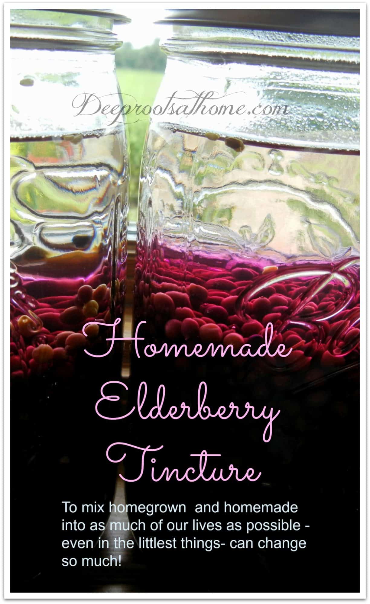 Elderberry Tincture & Dosage: Including Identifying & Growing Elderberries. Making homegrown elderberry tincture