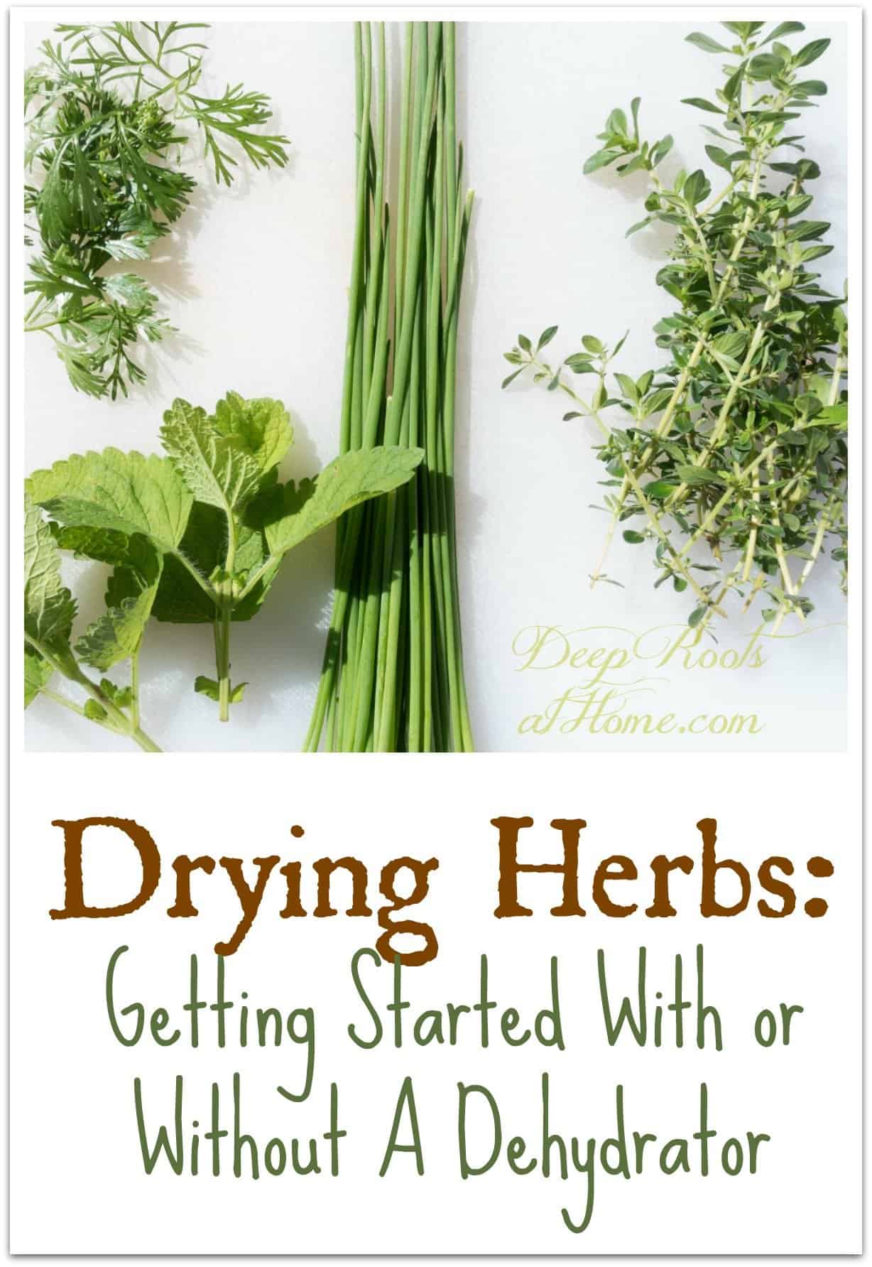 Drying Herbs: Getting Started With Or Without A Dehydrator, pin image