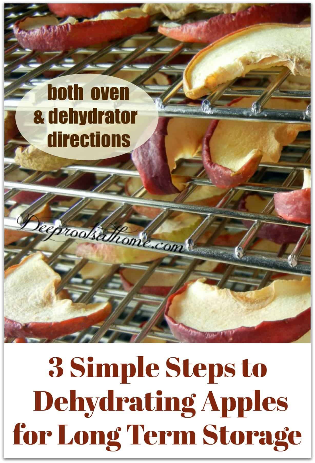 3 simple Steps to Dehydrating Apples For Long Term Storage. apples in dehydrator
