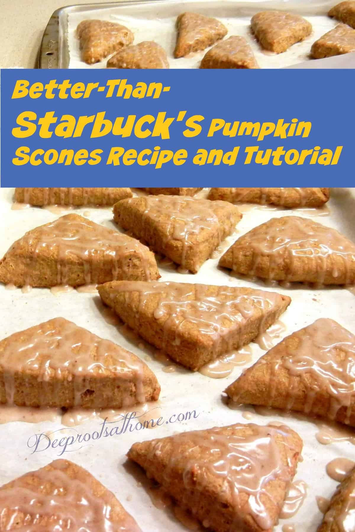 Better-Than-Starbuck's Pumpkin Scones Recipe and Tutorial. Baking sheets of fresh scones just out of the oven. 