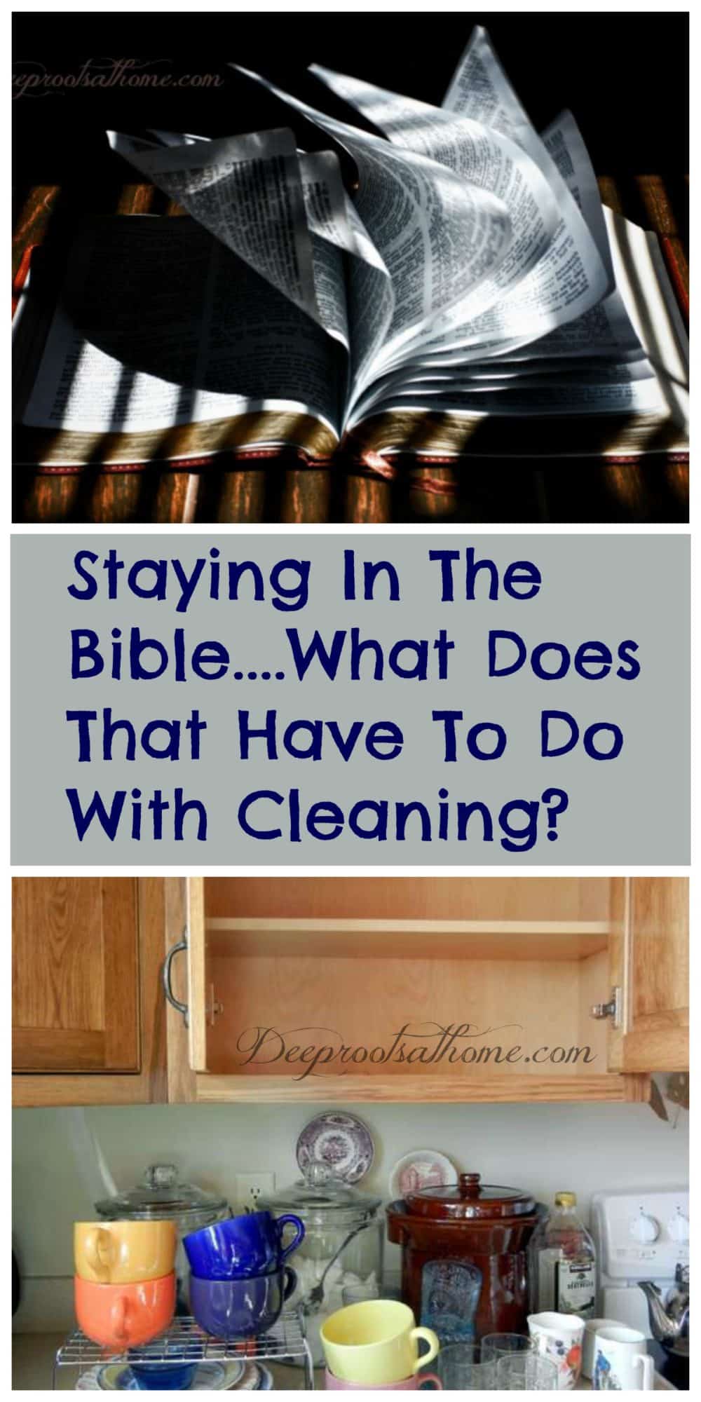 Bible In 90 Days...What Does That Have To Do With Cleaning?, cleaning closets and washing out cabinets