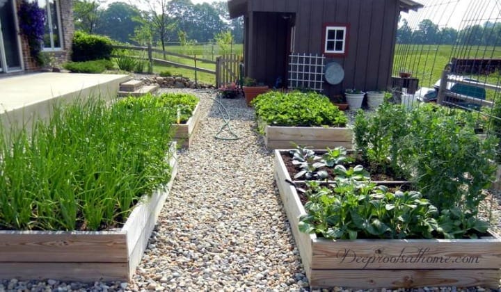 5 Reasons We Keep A Small Garden & A Kitchen Garden Planner. 4 x 8 garden boxes and raised beds