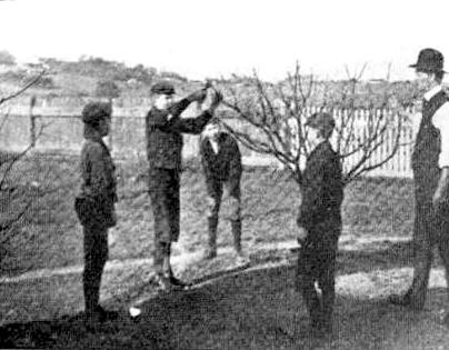 The Right and The Wrong Way & When To Prune Fruit Trees. Vintage, a pruning class of students