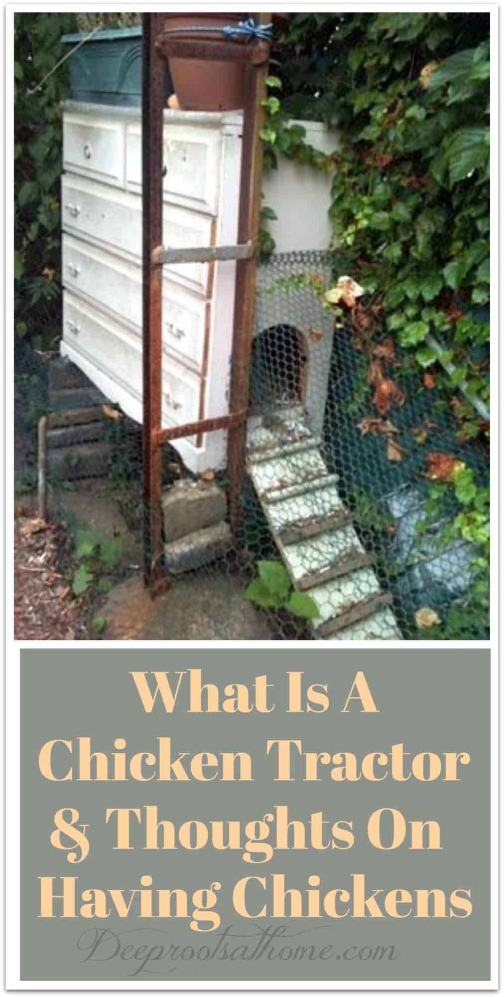 What Is A Chicken Tractor and Thoughts On Having Chickens. A cabinet as a chicken home