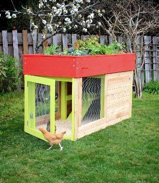 What Is A Chicken Tractor and Thoughts On Having Chickens, chicken coop in backyard, egg box, planter on top
