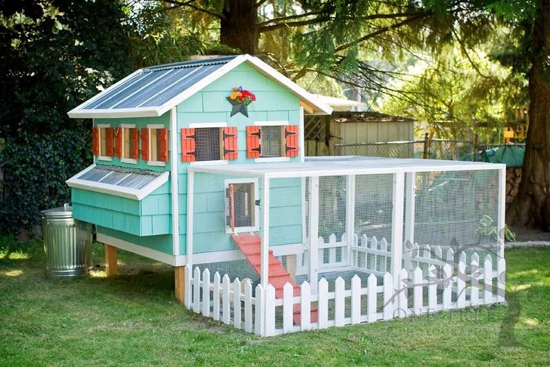 What Is A Chicken Tractor and Thoughts On Having Chickens, permanent chicken house, chicken coop, egg/nesting boxes