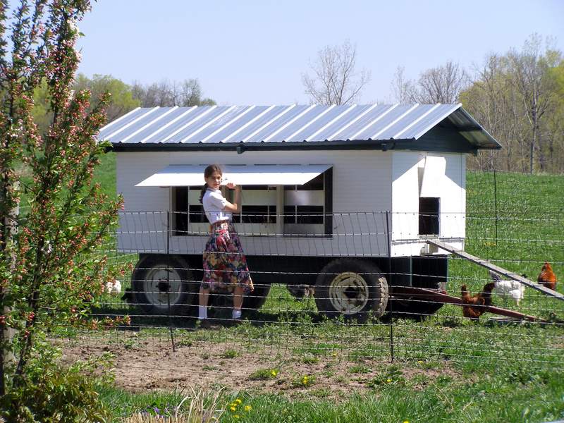 Our old chicken wagon with egg boxes for 12 chickens, pull with lawn mower