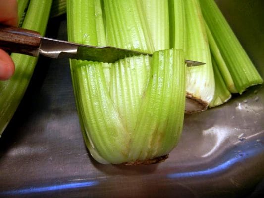 Easily Re-Growing Celery Tops: Stop Trashing Your Scraps. cutting bottom off of celery