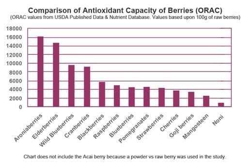 Aroniaberry Love & 6 Recipes: Cookies, Bars, Pie & More, new recipes, learning about aronias, new super-fruit, aronia/cherry syrup, aronia bars, gluten-free oatmeal bread, classic aronia berry pie, Genesis 1:29, USDA data chart, no pests, smoothie recipe, aronia oatmeal cookie recipe, homesteading, DIY medicine chest, herbal remedies, sustainable living, preparedness, lessen dependency on health care system, growing aronia berry bushes, chokeberry, Viking, anti-aging, health benefits, Thomas Edison, quote, prevention of disease, reverse Alzheimer's, ORAC values, combat free radicals, polyphenolic antioxidants, gardening, exotic fruit, astringent flavor, aronia melanocarpa