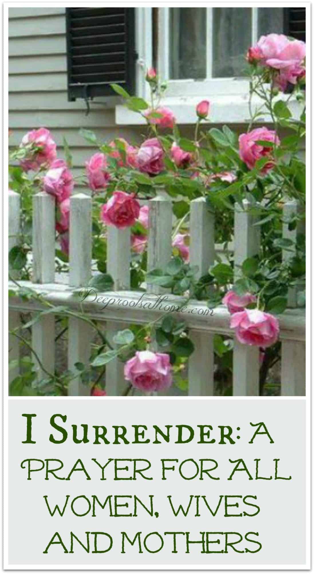 I Surrender: A Prayer For All Women, Wives and Mothers. pink roses