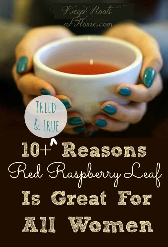 10 Tried & True Reasons Raspberry Leaf Is Great For All Women. A woman holding a cup of red raspberry tea. Pin image.