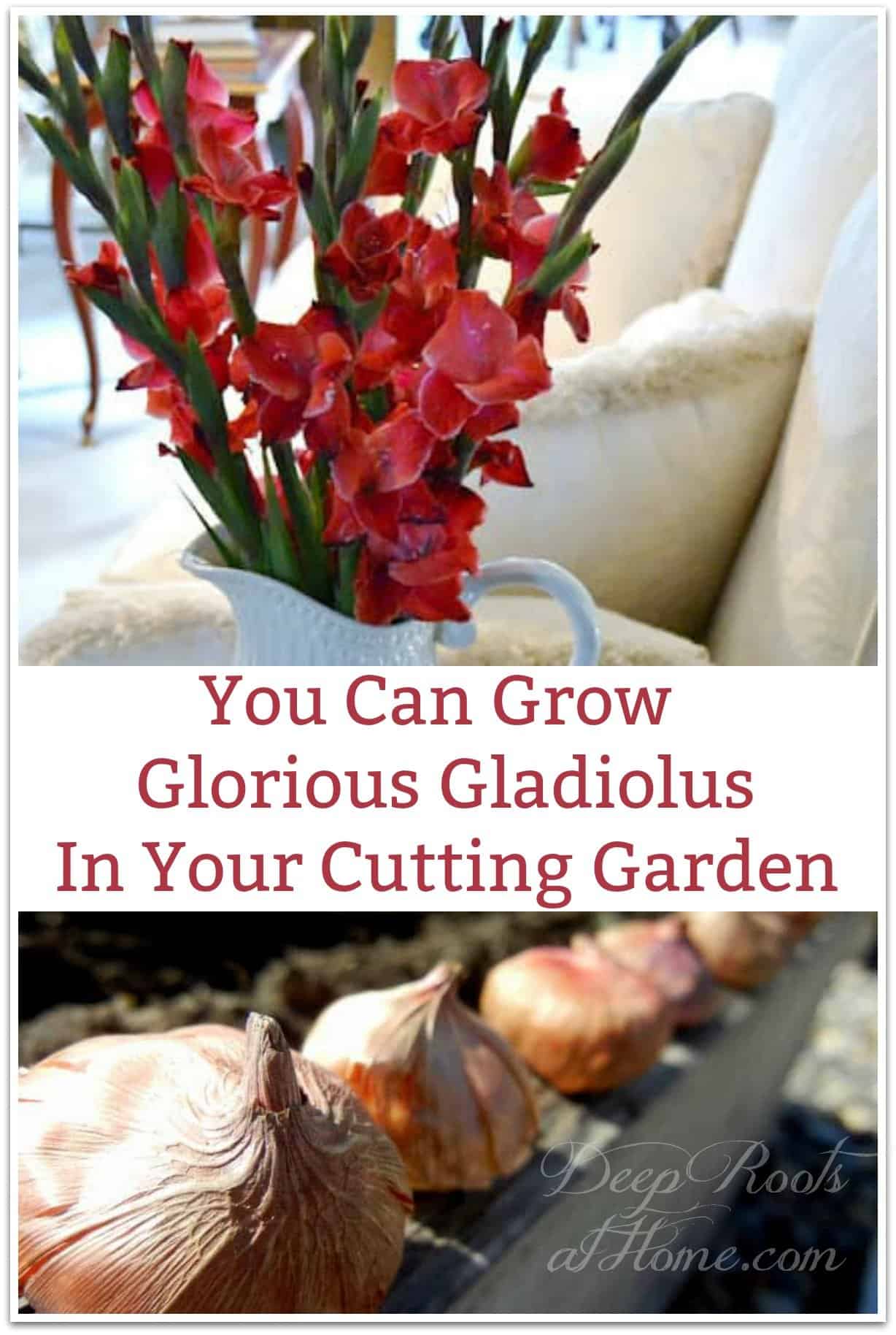 You Can Grow Glorious Gladiolus In Your Cutting Garden. graceful, long-stemmed red gladiolas in a vase