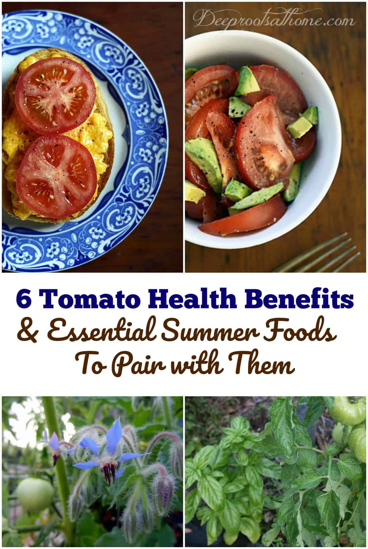6 Tomato Health Benefits & Essential Summer Foods To Pair with Them. 2 recipes with tomatoes. Pinterest image.