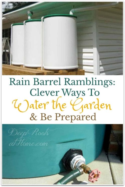 Rain Barrel Ramblings: Clever Ways To Water the Garden & Be Prepared. rain collection barrels