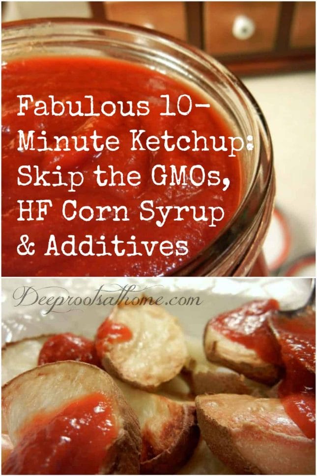 Fabulous 10 Minute Ketchup: Skip the GMOs, HF Corn Syrup & Additives. Homemade ketchup that tastes as good or better than store bought! Pin image