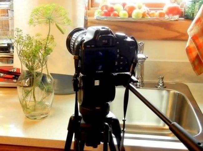 SLR camera on tripod, photographing caterpillar, eating fresh herb