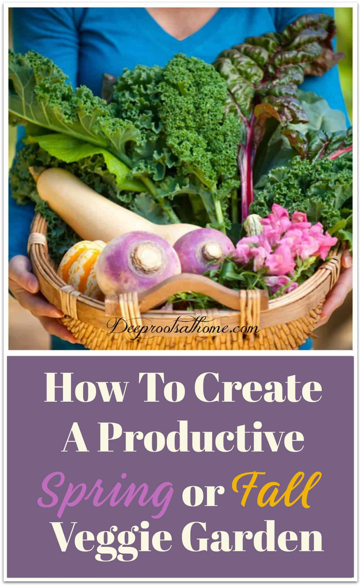 How To Create A Productive Spring or Fall Veggie Garden. 