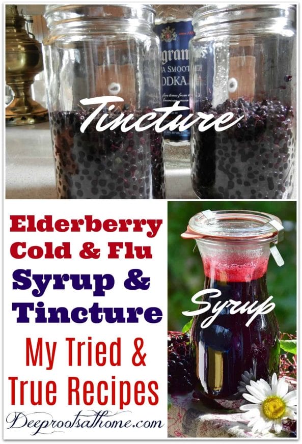 Elderberry Cold & Flu Syrup and Tincture: My Tried & True Recipes. Recipes for both elderberry tincture and elderberry syrup, an herbal medicine.