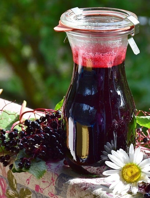 Elderberry Cold & Flu Syrup and Tincture: My Tried & True Recipes. Elderberry syrup, an herbal medicine.