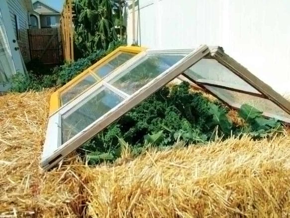 How To Create A Productive Spring or Fall Veggie Garden How To Create A Productive Spring or Fall Veggie Garden. homemade cold frame, straw bale cold frame