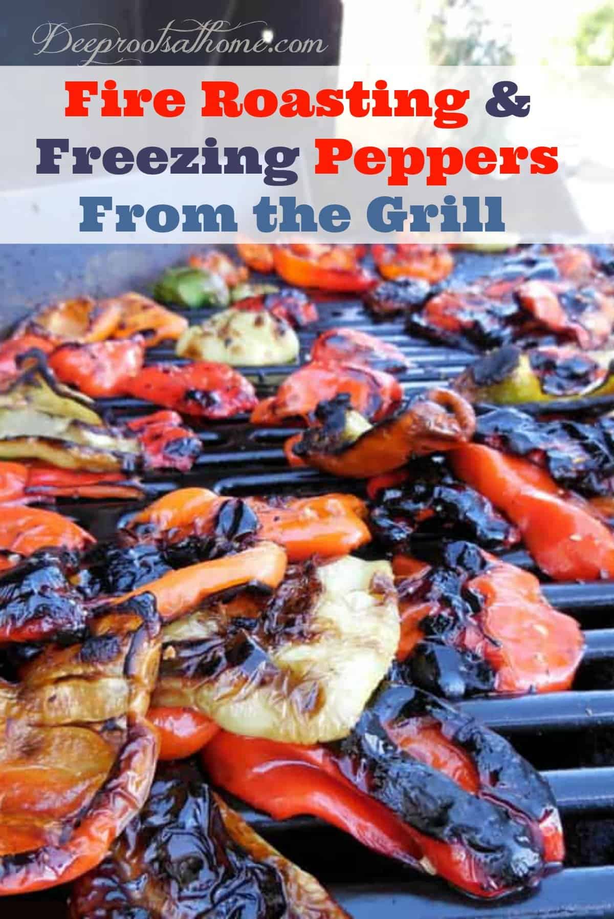 Fire Roasting And Freezing Colored Peppers From the Grill