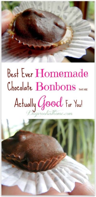 Best Ever Homemade Chocolate Bonbons ~ Actually Good For You, Trader Joe's, taste good, auto-immune symptoms, lupus, food allergies, Reese's cups, mid-afternoon pick-me-up, stabilize blood sugar, processed sugar, putting on weight, getting fat, candida yeast, cacao powder, recipe, tutorial, allergy season, sea salt, unsweetened, candy, dark chocolate, Hand-made, homemade, keeper at home, raw honey, sunflower seed butter, coconut oil, raspberries and chocolate, desserts, healthy, Tropical Traditions, Real Salt, Rapunzel cocoa, organic, French Royal court, chocolate covered candies, redundant word, 