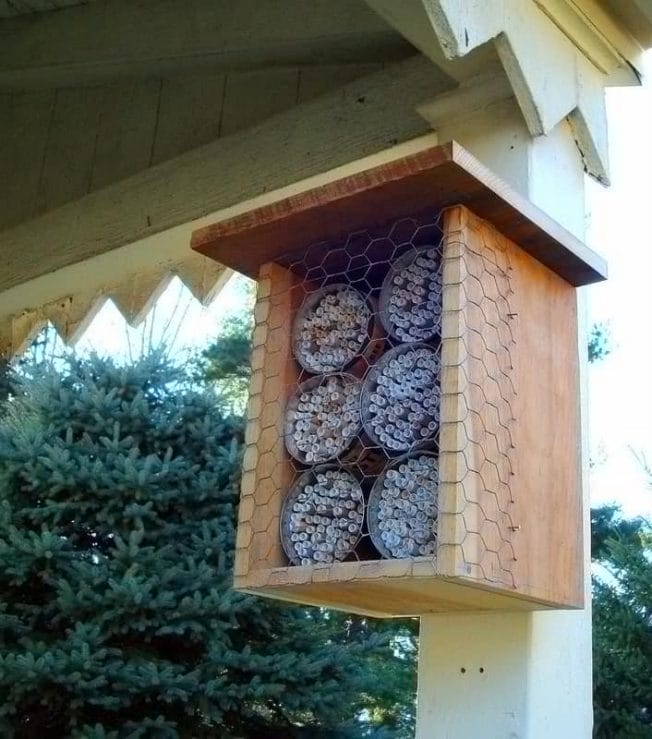 boxes with straws, covers to keep out woodpeckers