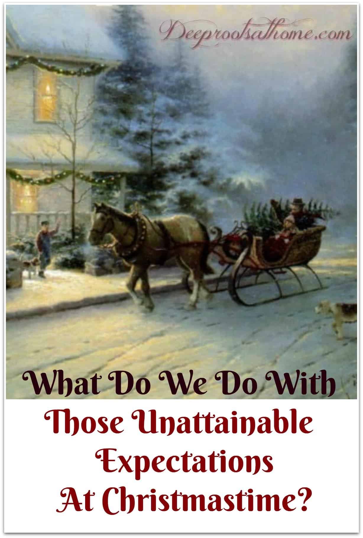 What Do We Do With Those Unattainable Expectations At Christmastime? sleigh ride