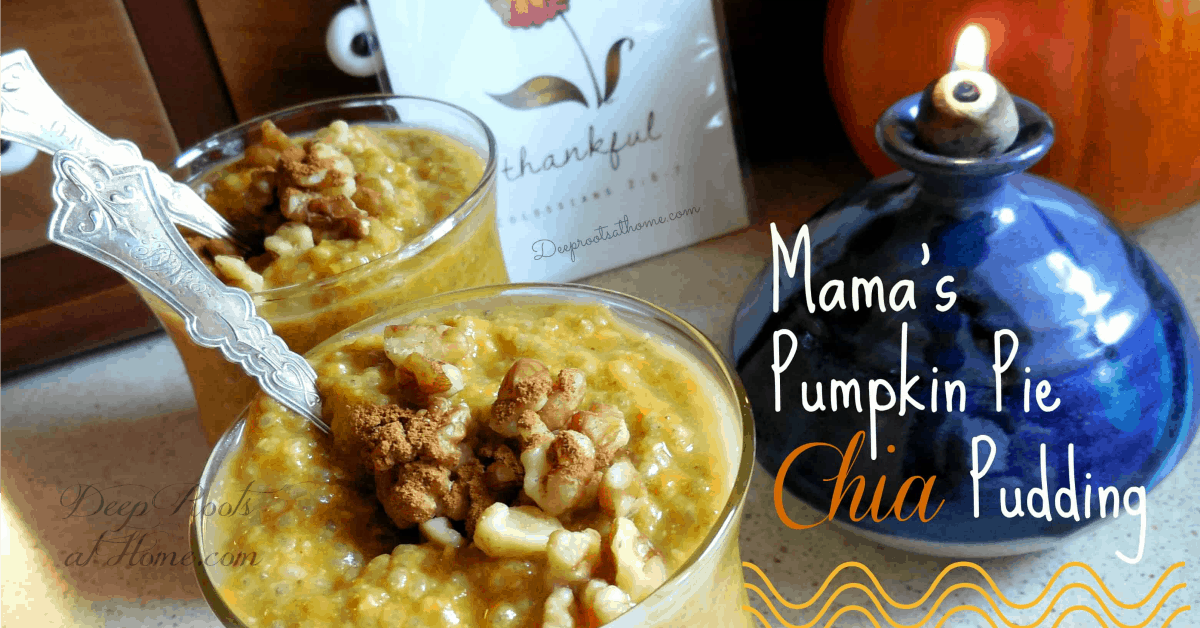 Mama's Pumpkin Pie Chia Pudding & Chia Health Benefits. pumpkin pudding