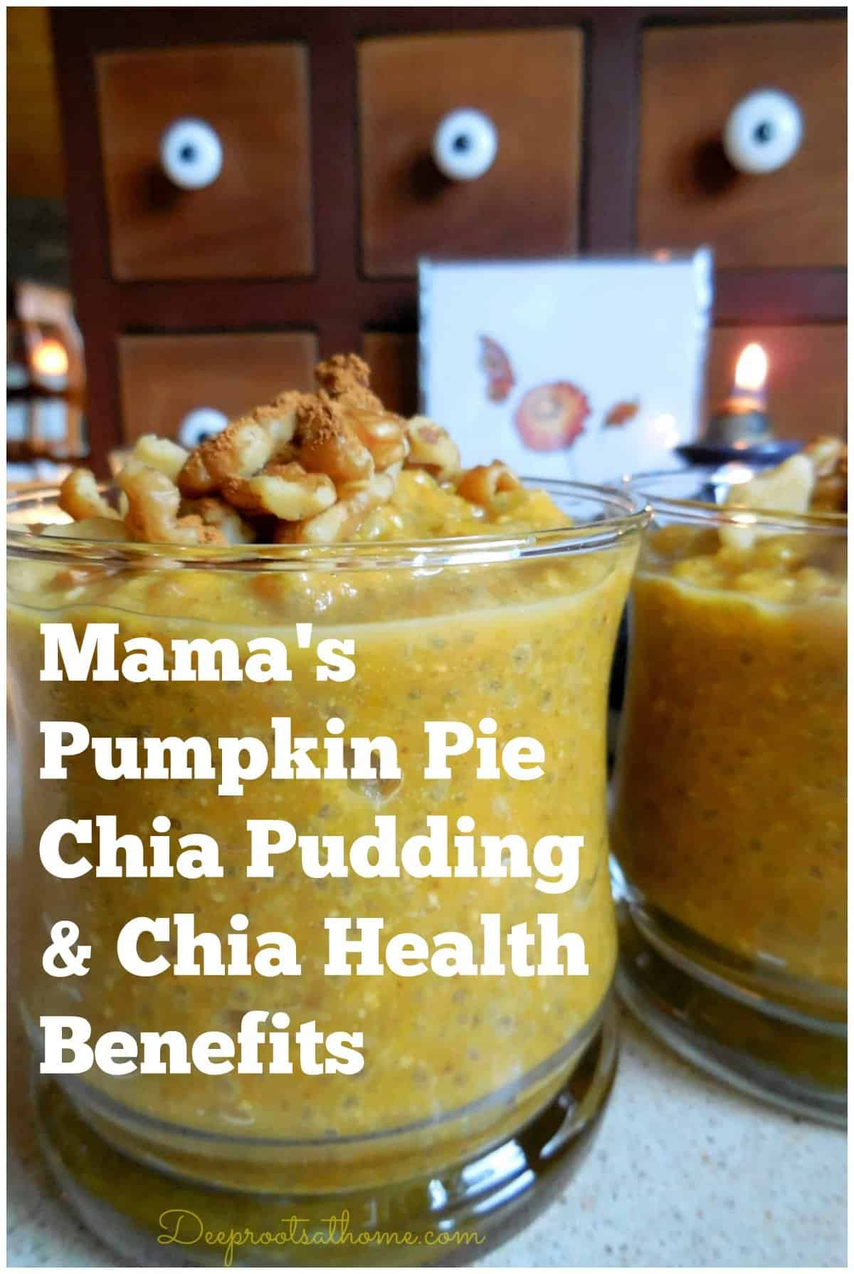 Mama's Pumpkin Pie Chia Pudding & Chia Health Benefits. Chia pudding
