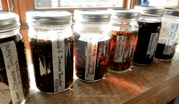 tincture making