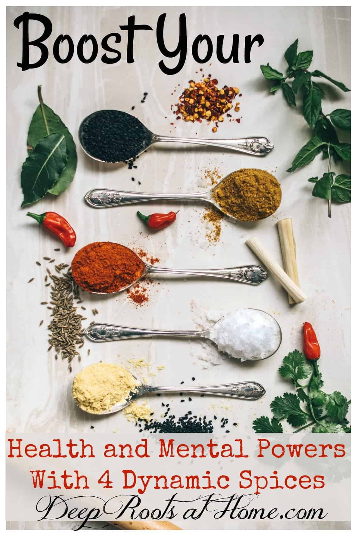 Boost Your Health and Mental Powers With 4 Spices. measuring spoons with spices good for the brain