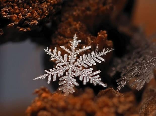 Winter's Hidden Beauty~ The Snowflake, macro photography, snowflake closeup, ice crystal