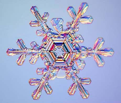 Winter's Hidden Microscopic Beauty In The Snowflake. electron microscopy of a snowflake