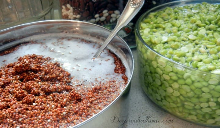 Soaking Beans and Grains ~ ByeBye Phytic Acid and Beano. Red quinoa and green split peas soaking in water before cooking.