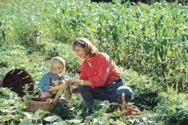 Are You Wired To Be Gardener? Finding Sanity In the Soil. A child working in the garden with mom