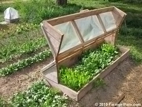 An Amish portable cold frame