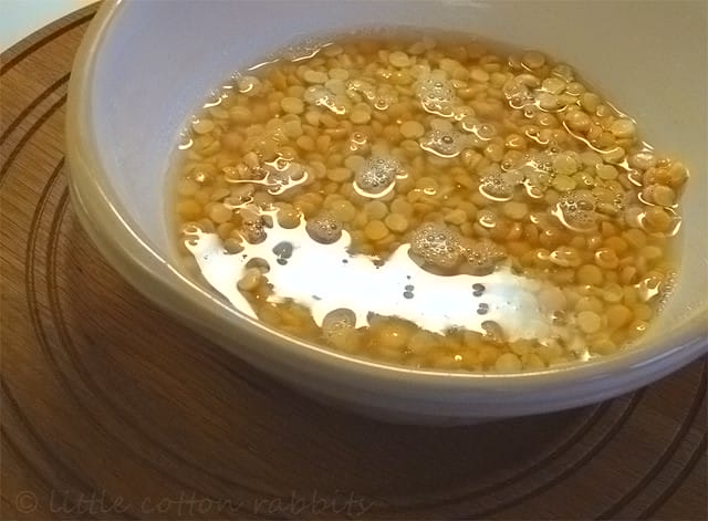 Soaking Beans and Grains ~ ByeBye Phytic Acid and Beano. yellow split peas soaking