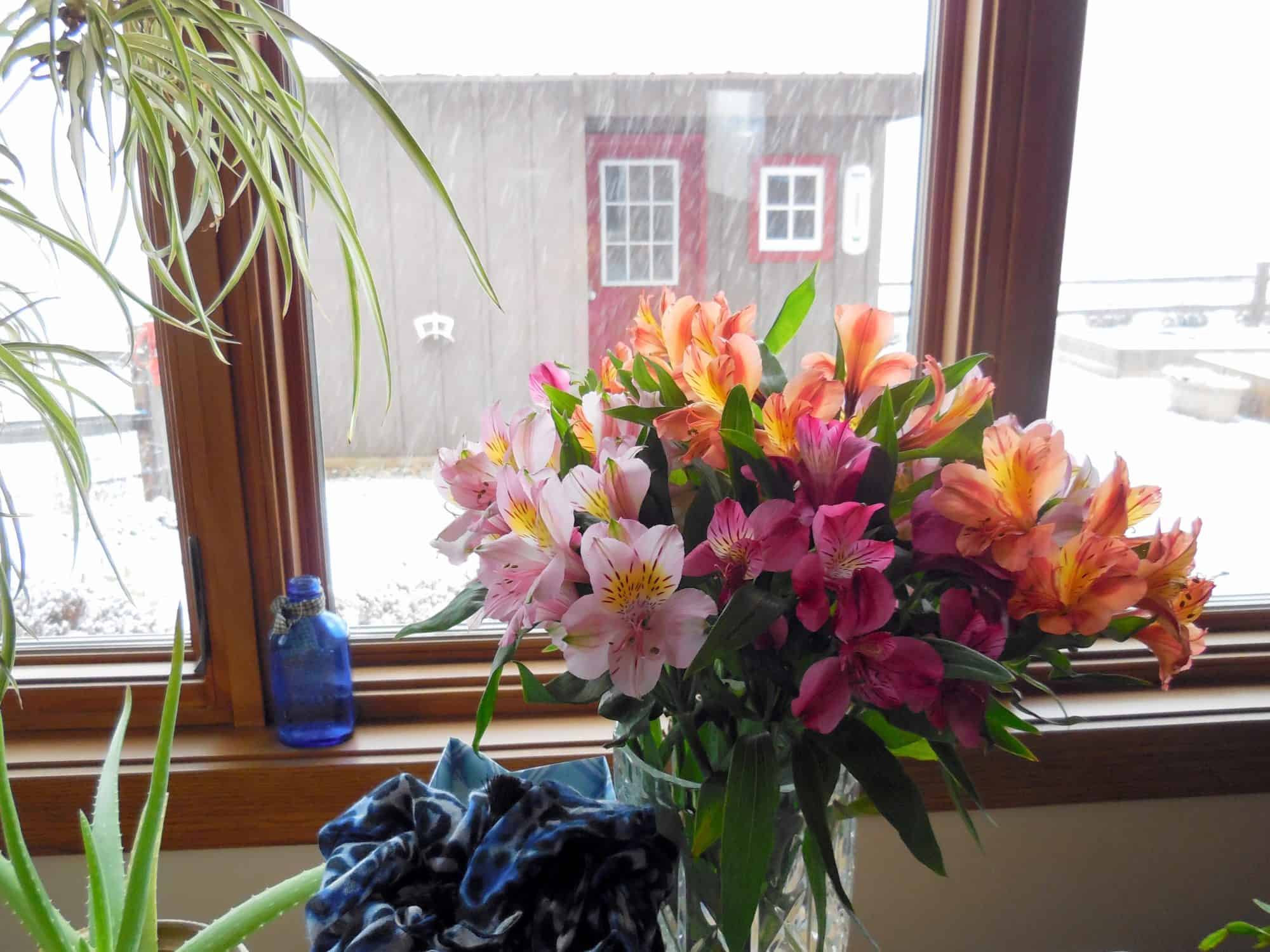 Using Color In Winter, To Cheer My Home & My Heart. A bouquet of alstromeria