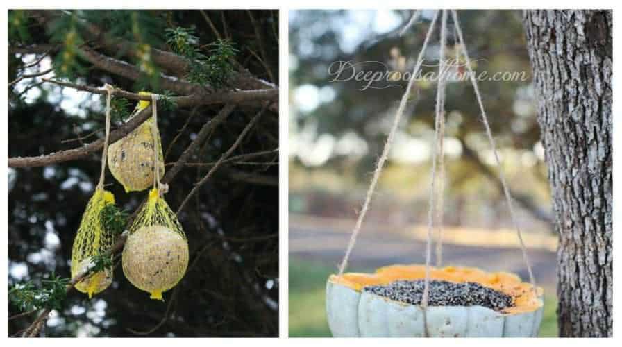 Fun ways to put winter food in front of the birds that visit our yards!
