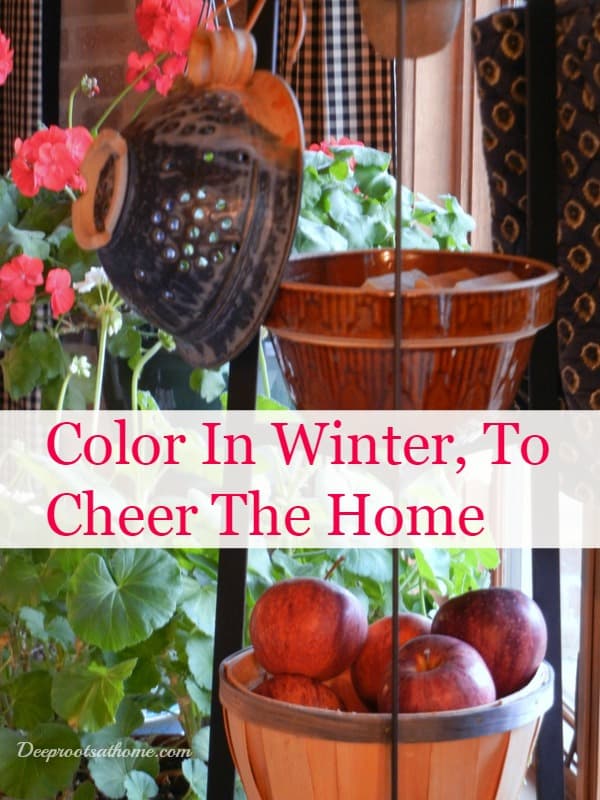 Pops of Color In Winter, How I Cheer My Home & My Heart Geraniums in my window, basket of apples on the tripod stand
