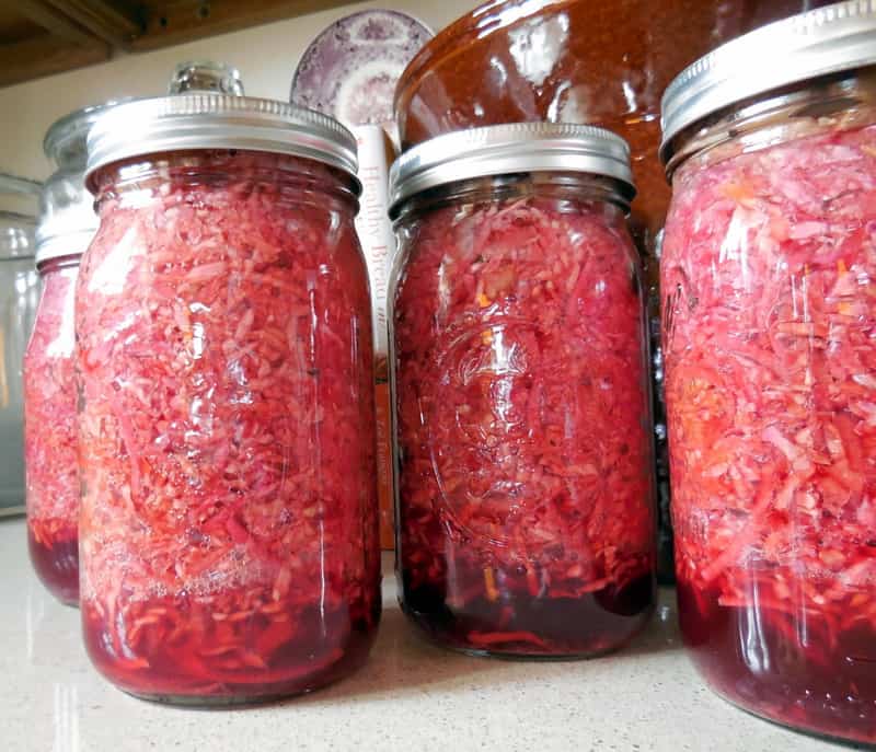 Sauerkraut of red cabbage in canning jars, fermenting on counter