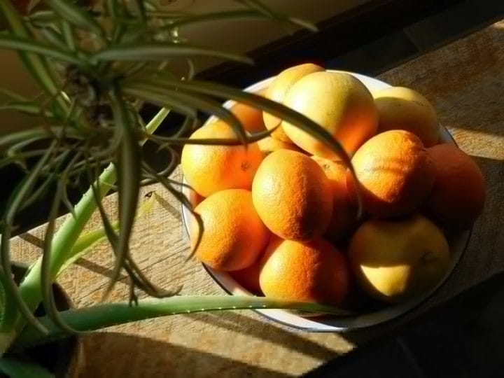 Using Color In Winter, To Cheer The Home & Heart. Oranges and grapefruits in winter, a bowl of fruit